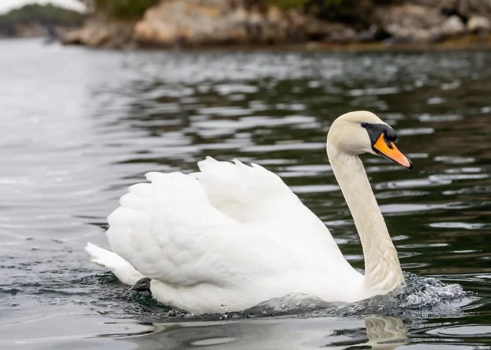 Hotel en barco Floating